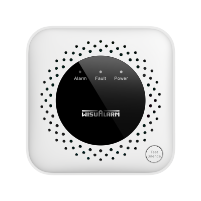 HY-GA40A Natural Gas Alarm (MÉTHANE)