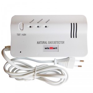 Wizmart  NB-920N Détecteur de gaz naturel Autonome