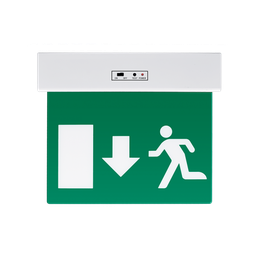 [9XL5113] XL5113-EMERGENCY LIGHT DOWN ARROW